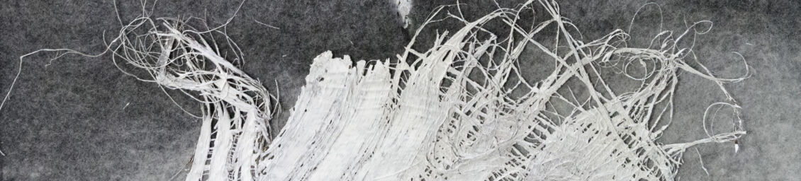 Yolande Schuster-Willockx-Symbiose, Collage Filz und Palmrinde auf Holz-35 x 35 cm-2024